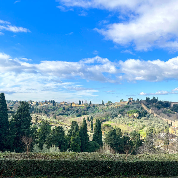 A Fleeting trip to Florence