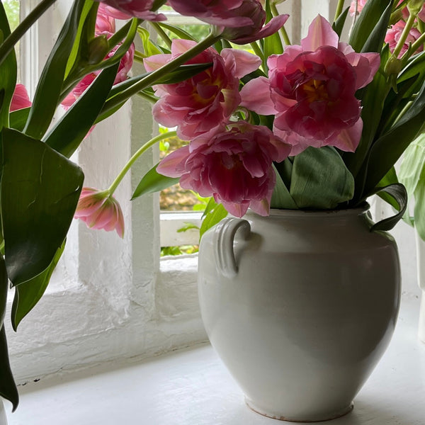 Flowers in French Pots