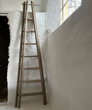 Laden Sie das Bild in den Galerie-Viewer, French Antique Painters Ladders  C1900  A pair of original ladders with cast iron fixings and an original aged and faded patina with splatters of old paint from use. They are in very good condition and are sound.   Ideal for decorative use as shelving with the addition of planks or to hang textiles.  Approximate Dimensions   H 227cm W 68cm  H 89.5&quot; W 26.8&quot;  Shipping -  Within UK only  For collection from GL7 3NQ - please enquire  These antique items are time worn with signs of aging and wear by penlen
