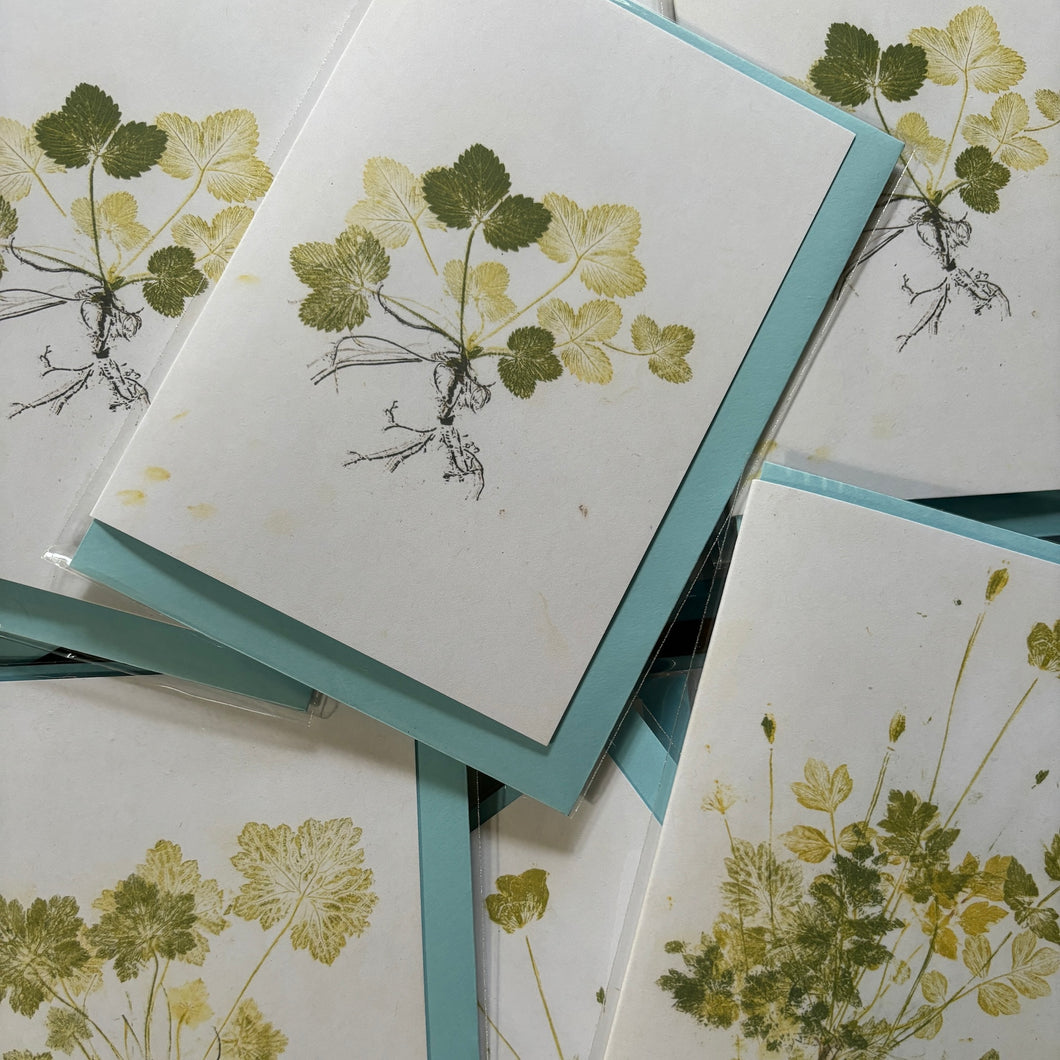 The Nature Printer greeting cards